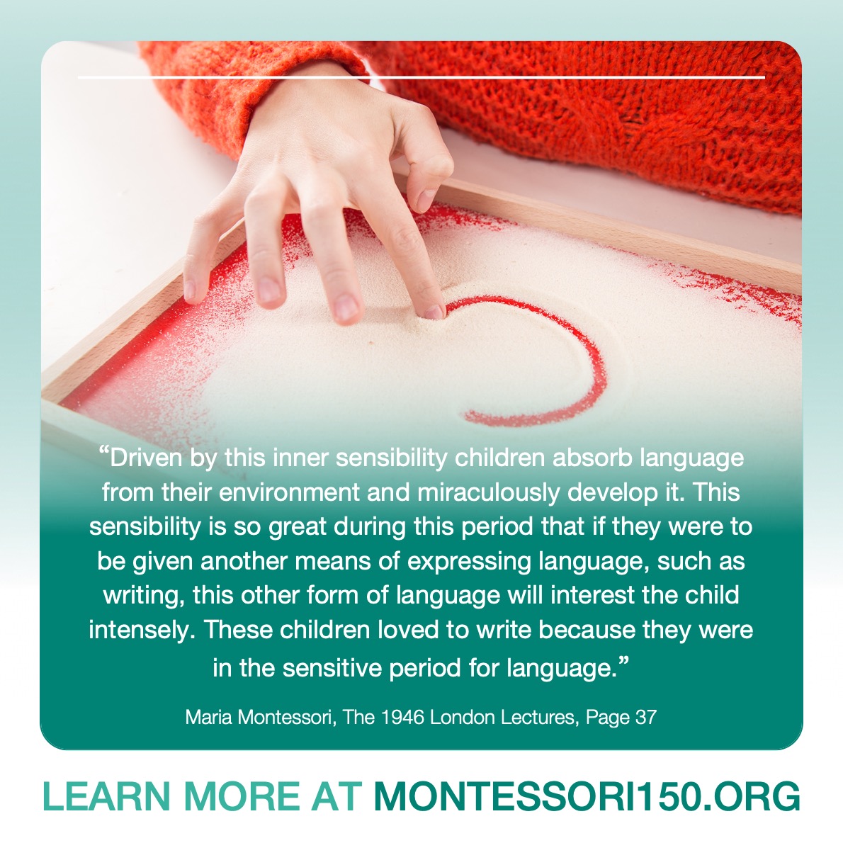 montessori sensitive period for language