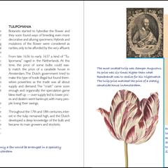 Montessori Tulip Book 2